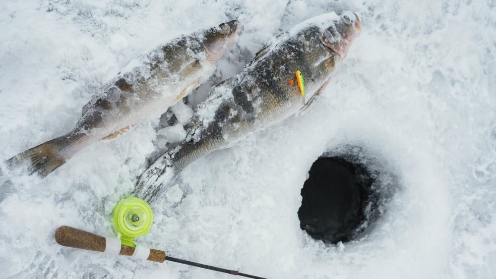 festival ice fishing korea