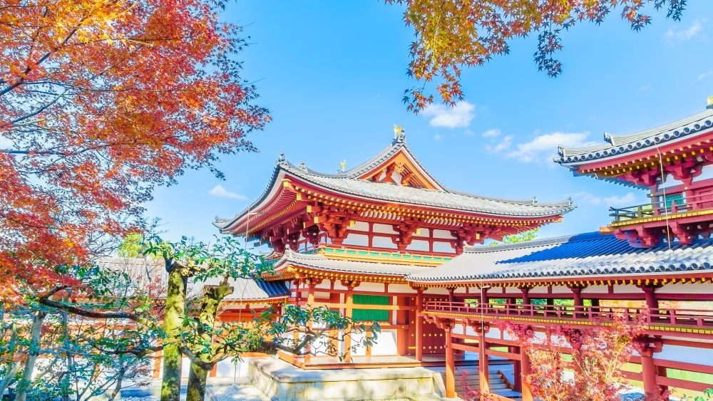 musim semi korea selatan