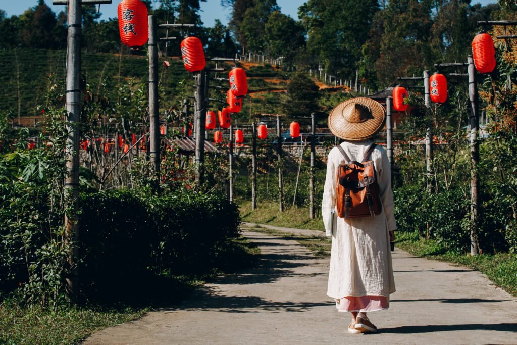 itinerary korea selatan 14 hari