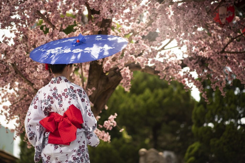 tempat lihat sakura di jepang 2026